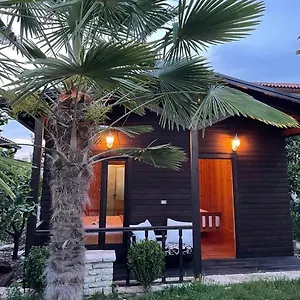 Blen Grand 3*, Berat Albánie